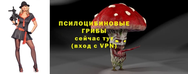 СК Богданович