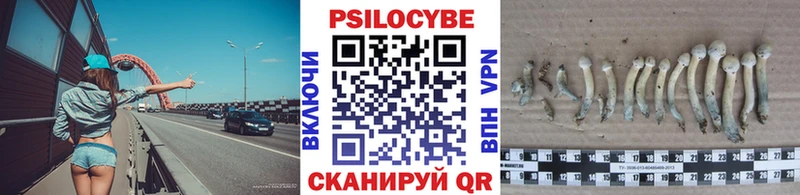 Псилоцибиновые грибы Magic Shrooms  Богданович 